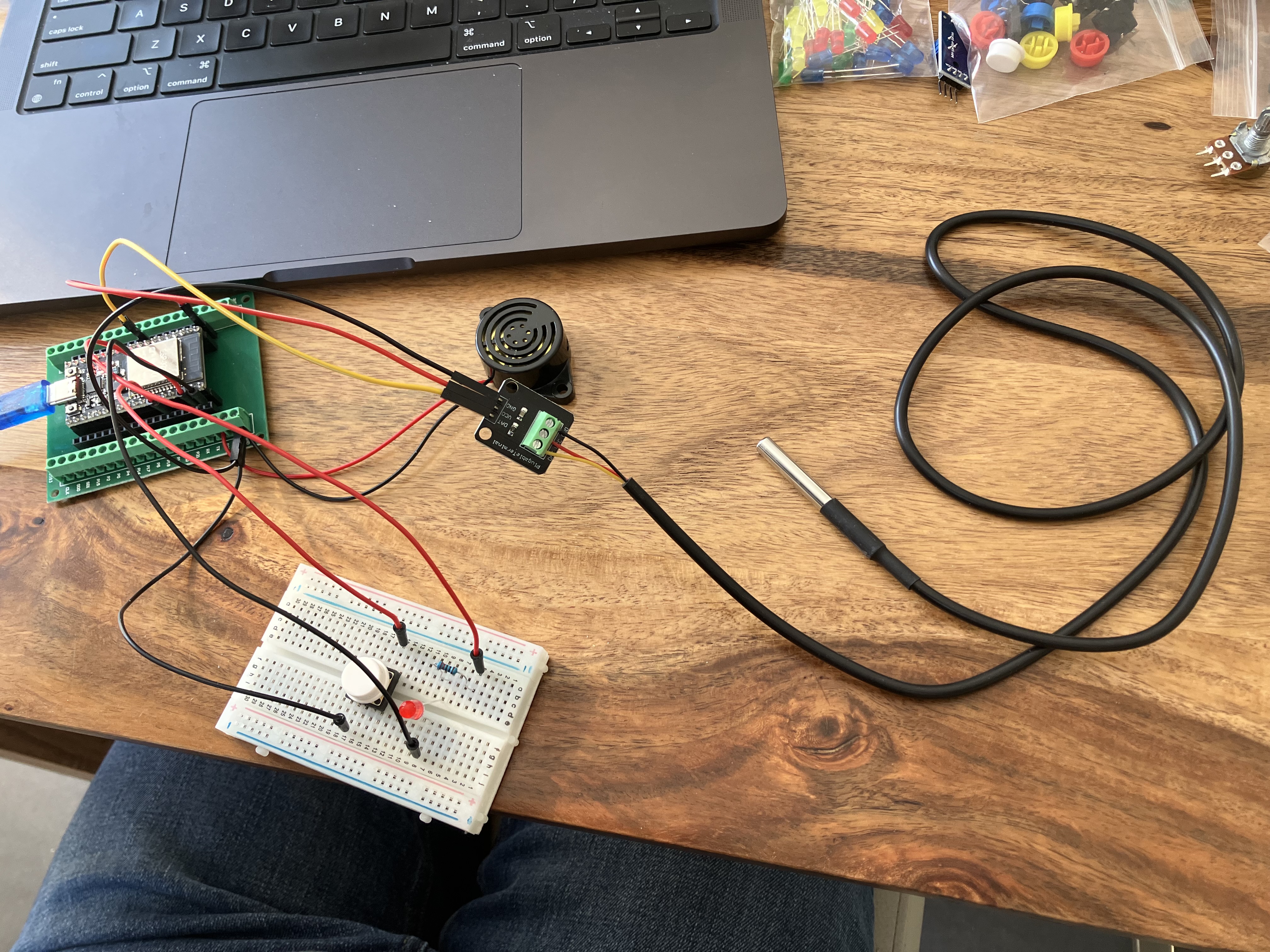 DS18B20 branché au circuit